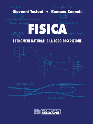 cover image of Fisica. I fenomeni naturali e la loro descrizione